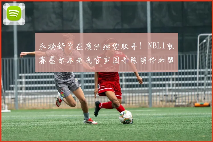 和杨舒予在澳洲继续联手！NBL1联赛墨尔本老虎官宣国手陈明伶加盟